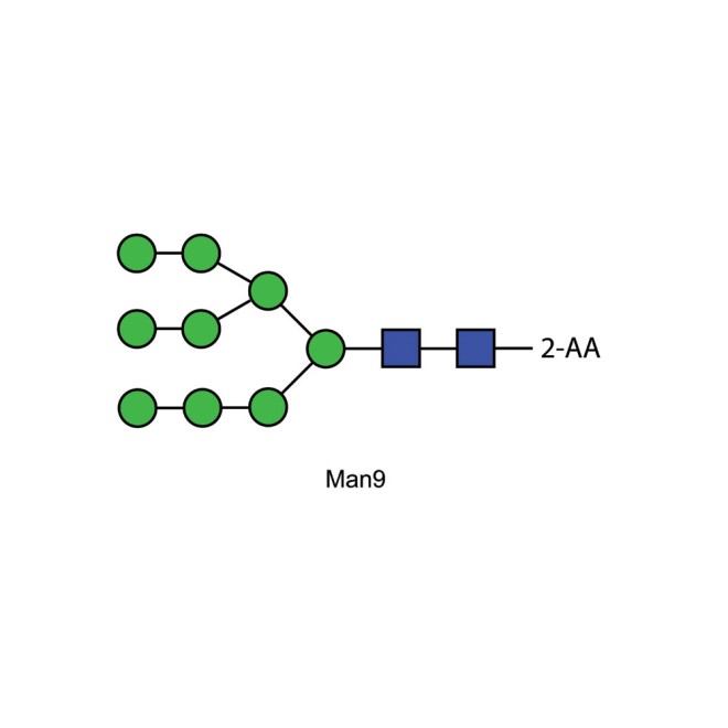 Man-9 glycan, 2-AA labelled