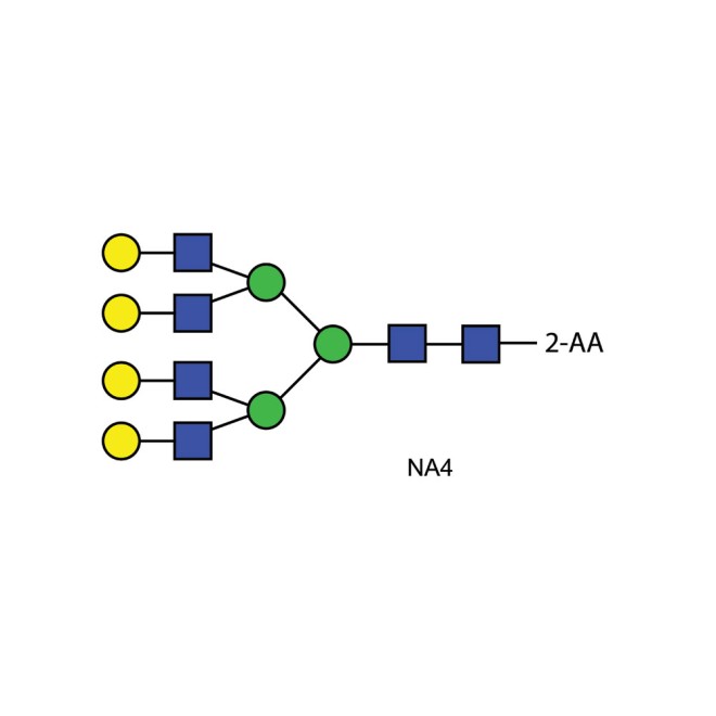 NA4 glycan (A4G4), 2-AA labelled