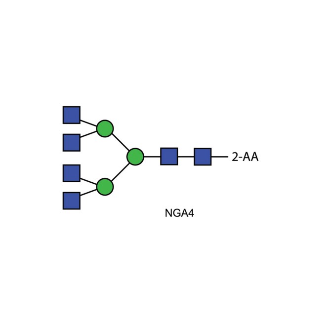 NGA4 glycan (A4), 2-AA labelled