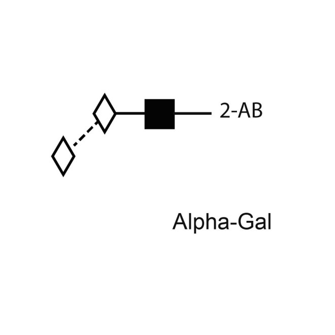 Alpha-Gal standard (2-AB labelled)