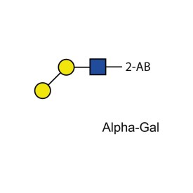 Alpha-Gal standard (2-AB labelled)