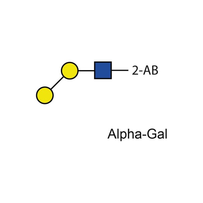 Alpha-Gal standard (2-AB labelled)