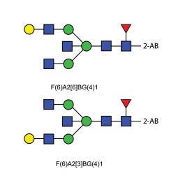 FA2BG1 glycan (G1B), 2-AB labelled
