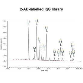 IgG N-glycan library (2-AB)