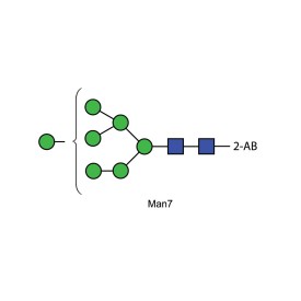 Man-7 glycan, 2-AB labelled