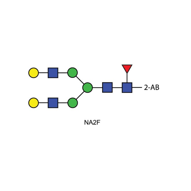 NA2F glycan (FA2G2, G2F), 2-AB labelled