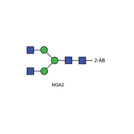 NGA2 glycan (A2, G0), 2-AB labelled