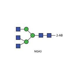 NGA3 glycan (A3), 2-AB labelled
