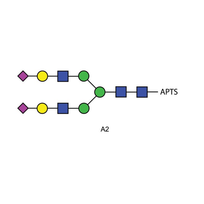 A2 glycan (A2G2S2, G2S2), APTS labelled