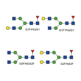 Monoclonal Antibody Reference Standards