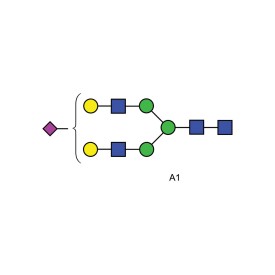 A1 glycan (A2G2S1, G2S1)
