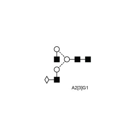 A2[3]G1 N-glycan