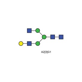 A2[3]G1 N-glycan