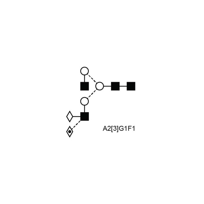A2[3]G1F1(α-1-3) glycan; Asymmetric Lewis X containing N-glycan