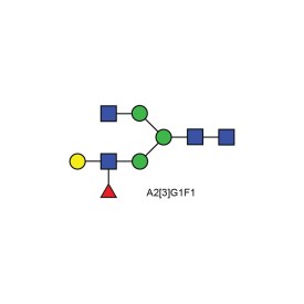 A2[3]G1F1(α-1-3) glycan; Asymmetric Lewis X containing N-glycan