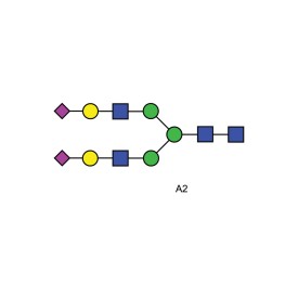 A2 glycan (A2G2S2, G2S2)