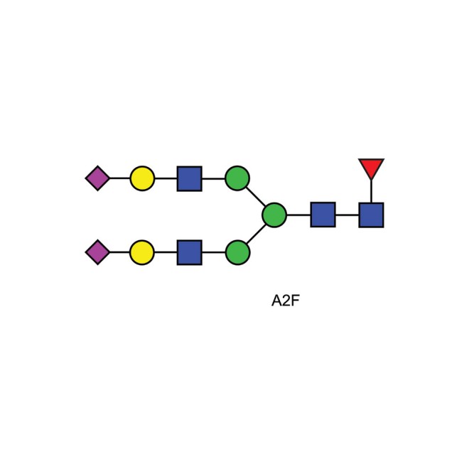 A2F glycan (FA2G2S2, G2FS2)