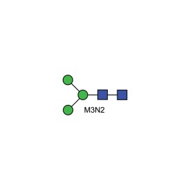 M3N2 (Man-3) glycan