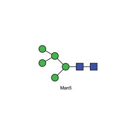 Man-5 glycan