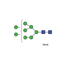 Man-8 glycan