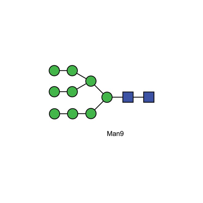 Man-9 glycan