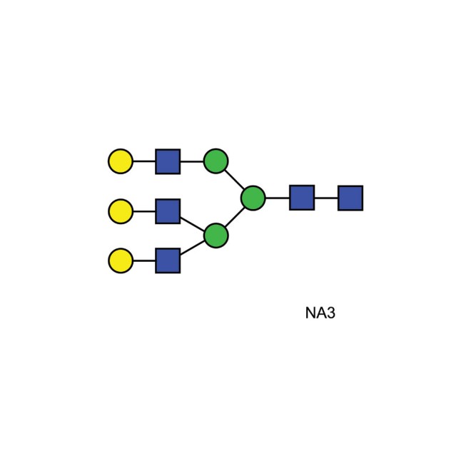 NA3 glycan (A3G3)