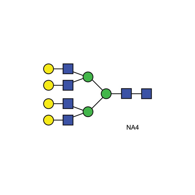 NA4 glycan (A4G4)