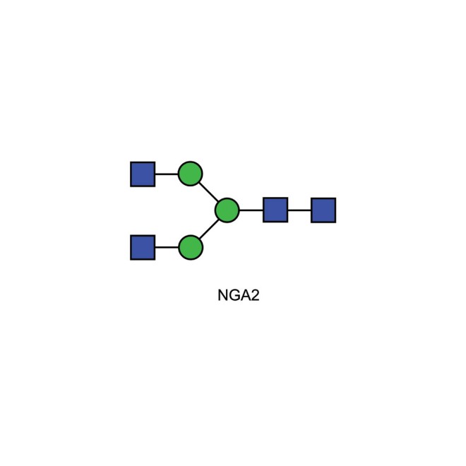 NGA2 glycan (A2, G0)