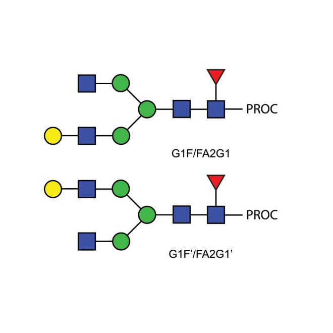 FA2G1 glycan (G1F), procainamide labelled