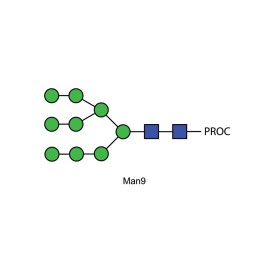 Man-9 glycan, procainamide labelled