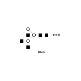 NGA3 glycan (A3), procainamide labelled