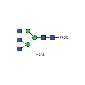 NGA3 glycan (A3), procainamide labelled