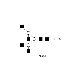 NGA4 glycan (A4), procainamide labelled