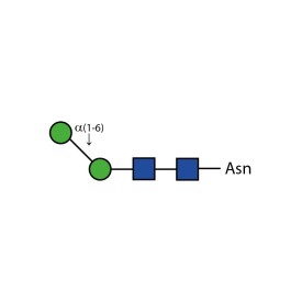 α-(1,6) core mannosidase
