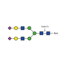 Endoglycosidase F2