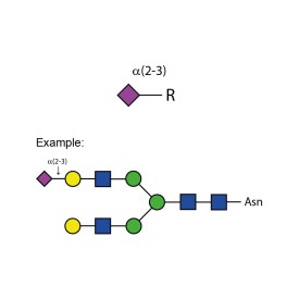 Sialidase Sp α-(2-3)