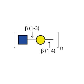 Endo-β-galactosidase