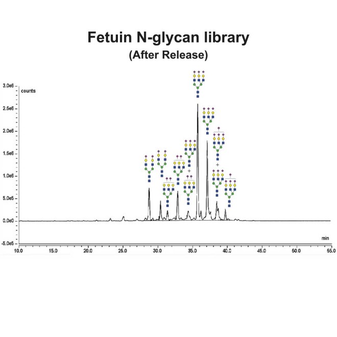 Fetuin glycoprotein standard