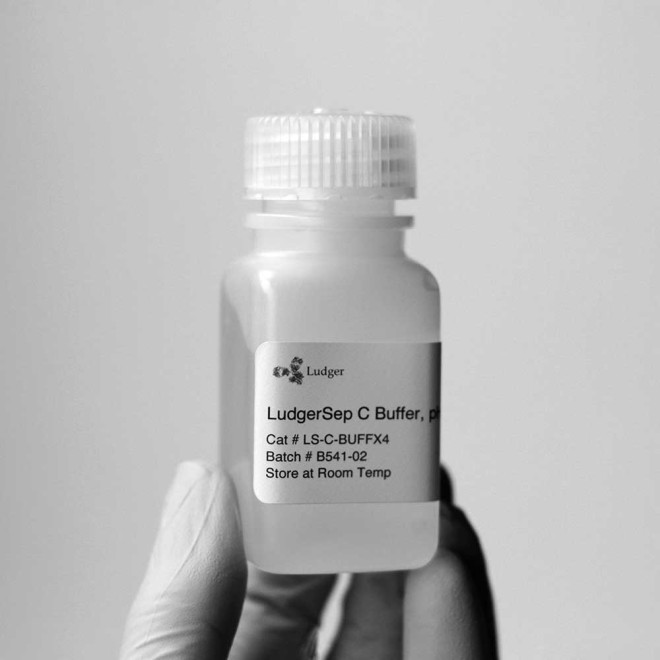 LudgerSep C buffer x4 concentrate