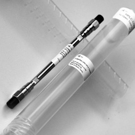 LudgerSep uR2 UHPLC column – sialic acid