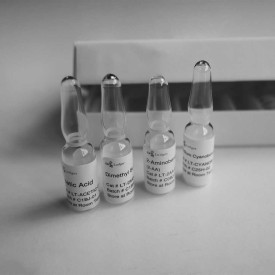 2-AA glycan labelling kit