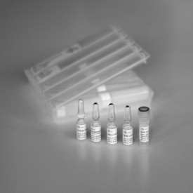 DMB sialic acid release & labelling kit