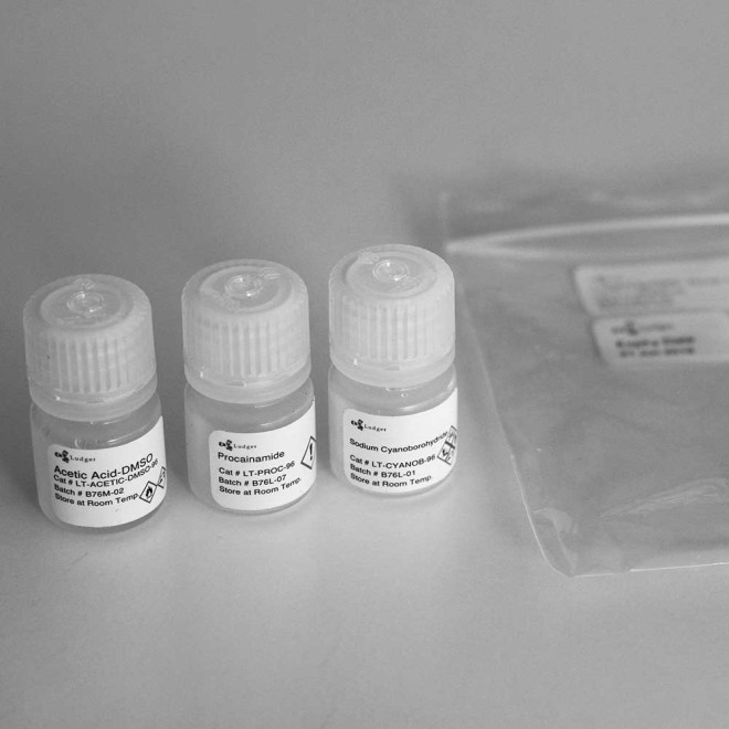 Procainamide glycan labelling kit