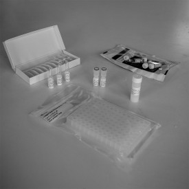 N-Glycan Release & Procainamide Labelling Module Kit