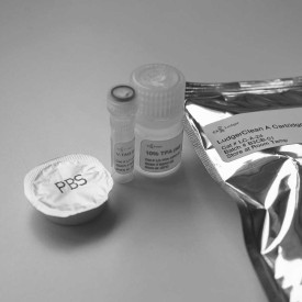 Glycopeptide labelling and enrichment kit