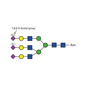 Sialate O-acetylesterase kit