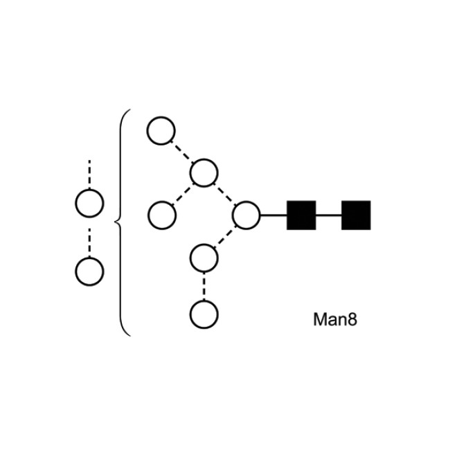 Mannose 8 quantitative standard