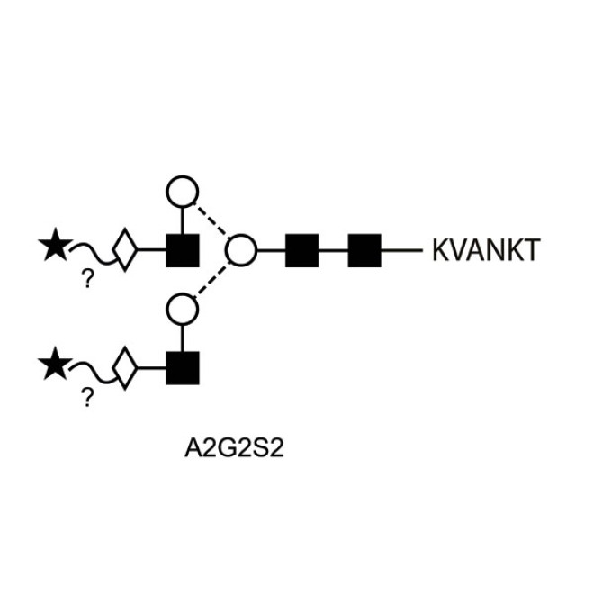 A2G2S2 quantitative glycopeptide standard
