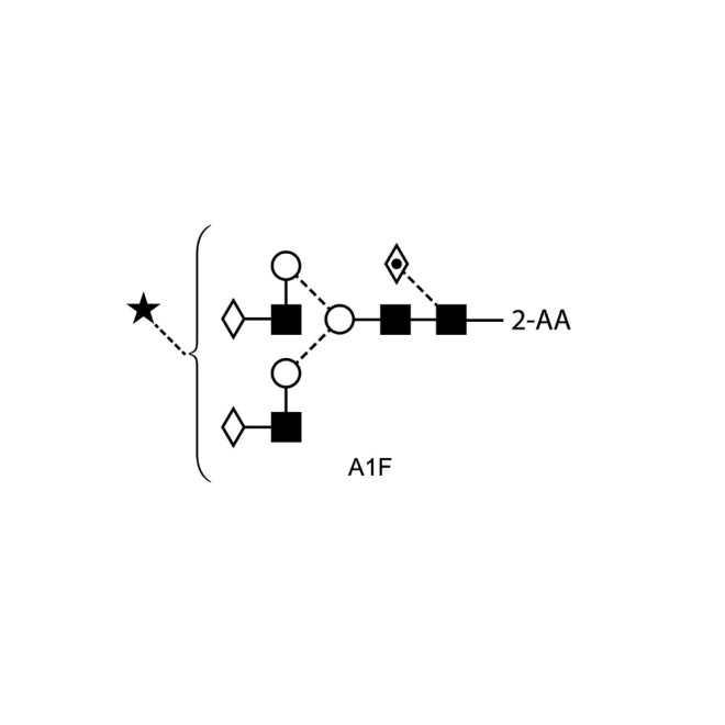 A1F glycan (FA2G2S1, G2FS1), 2-AA labelled