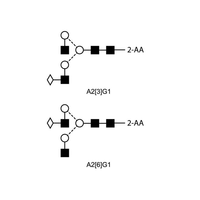 A2G1 glycan (G1), 2AA labelled